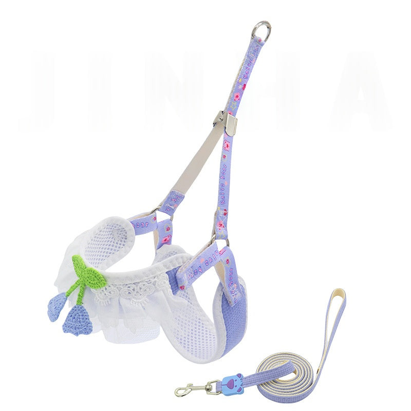 Feuille de chien pour petits chiens Bichon Frise Teddy Poméranie