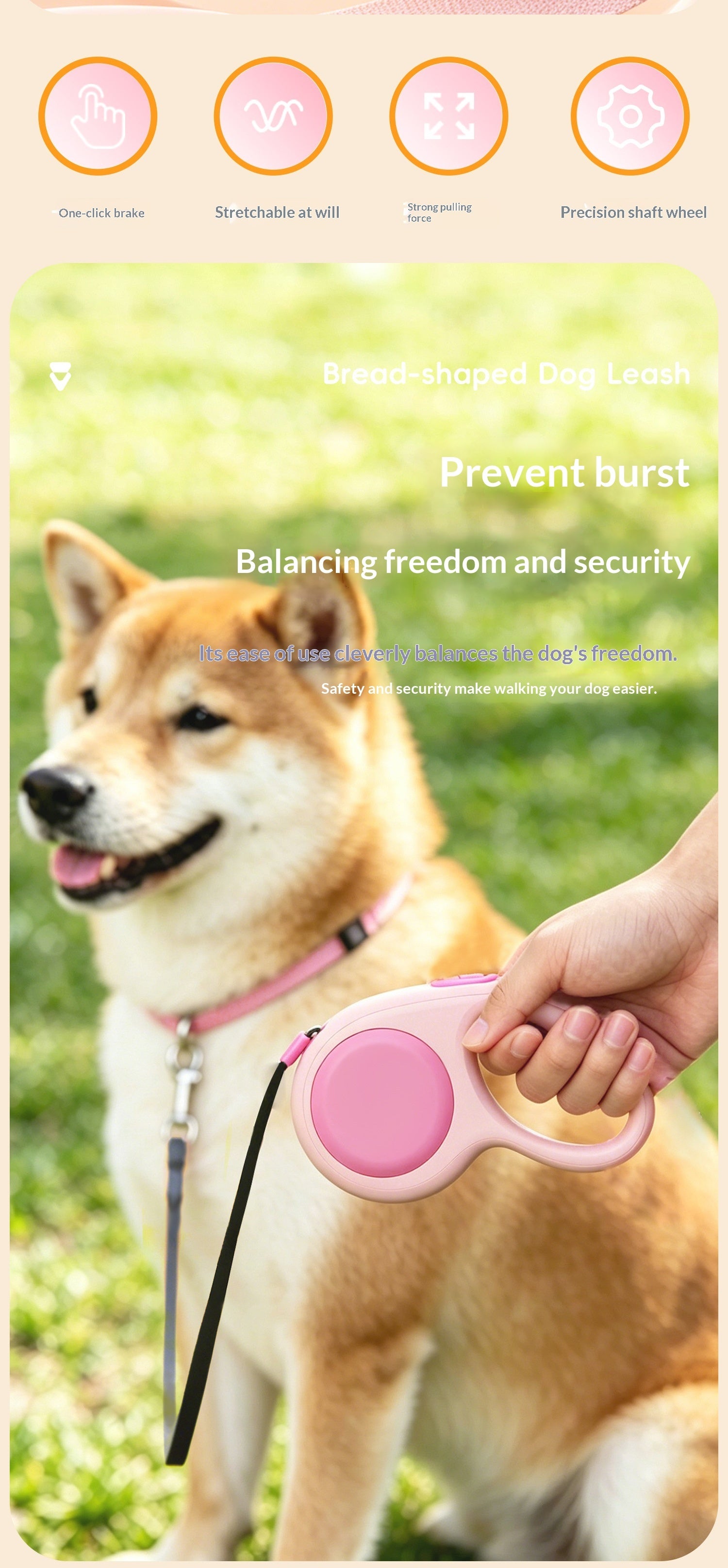 Feuille automatique rétractable pour chien