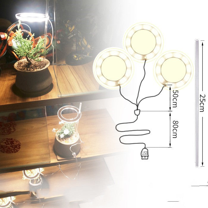 Full-spectrum LED imitant soleil coloration plante lampe de remplissage succulente