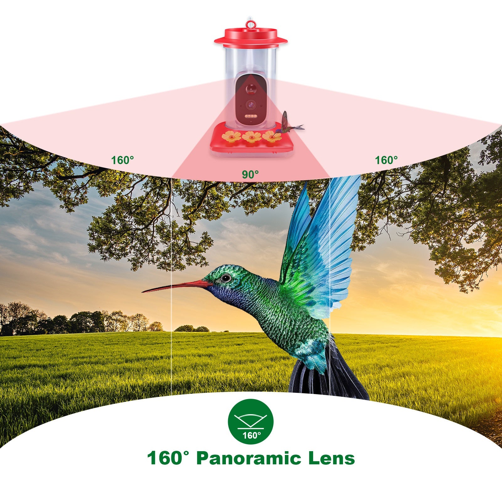 Intelligent Visual Cummingbird Water Feeder 5MP Pixel Outdoor HD
