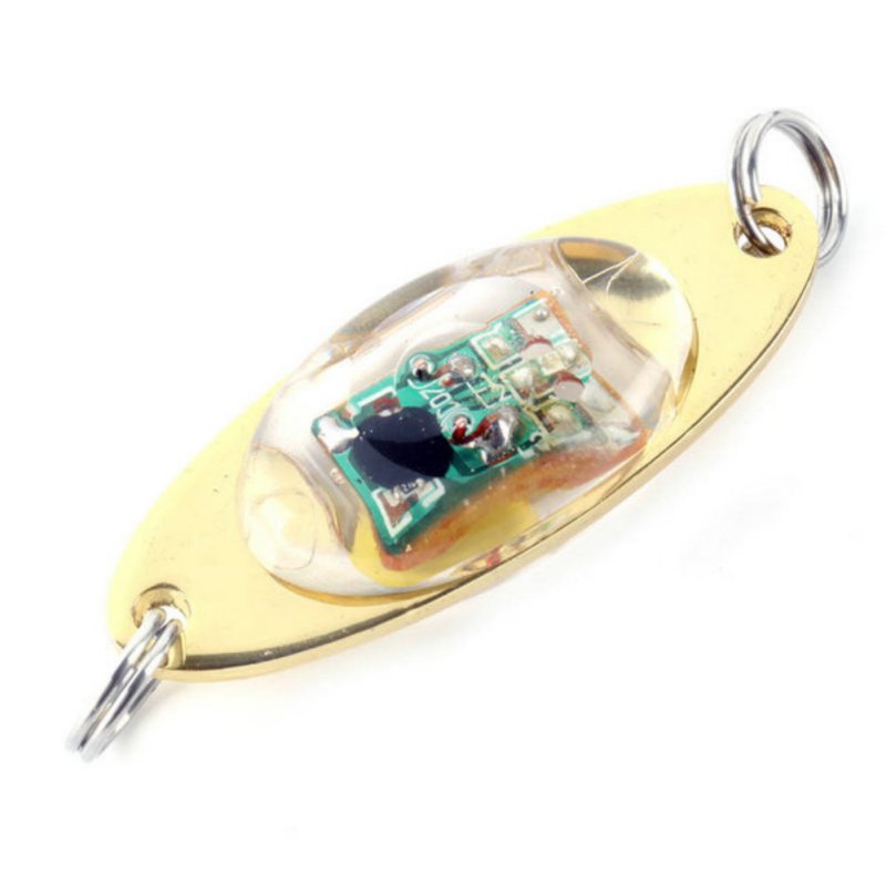 Bouton Batterie Fish Lure Lampe Électronique Lure Lurale Pêche Lure