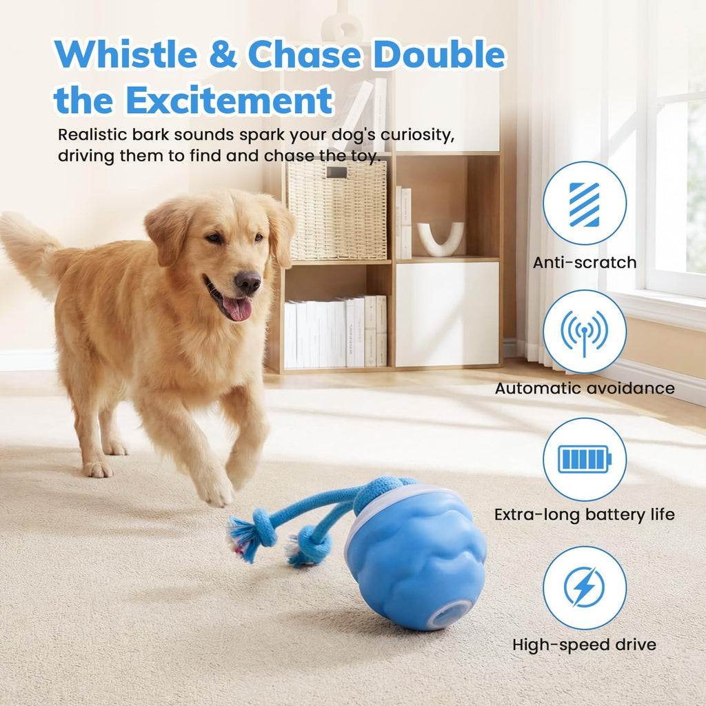 Jouets pour chiens, Jouets pour chiens interactifs, Balle pour chiens interactive automatique, 3 modes de mouvement activé D