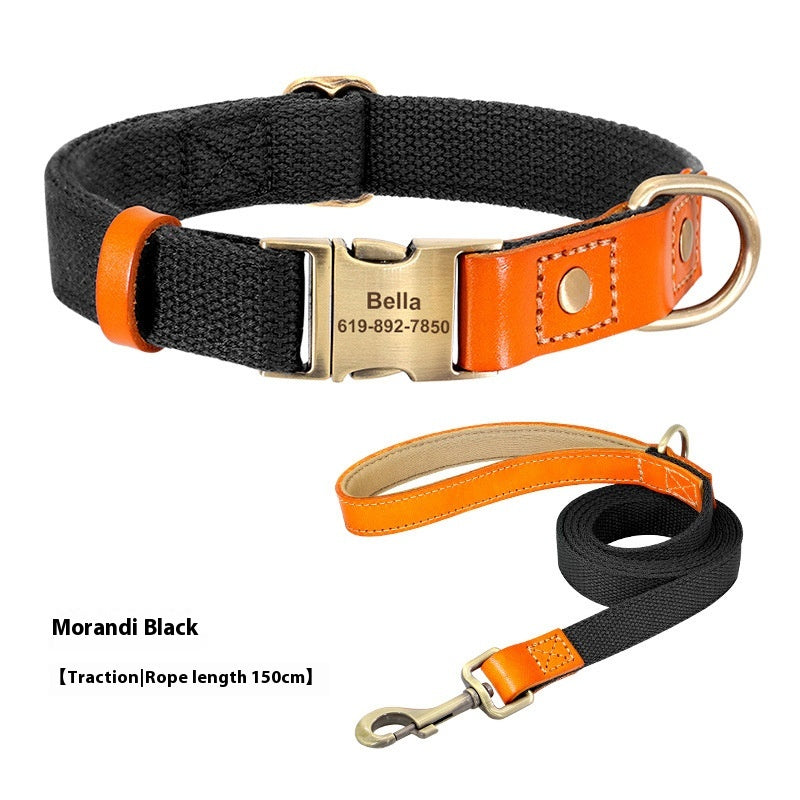 Rope de traction du collier de petit chien