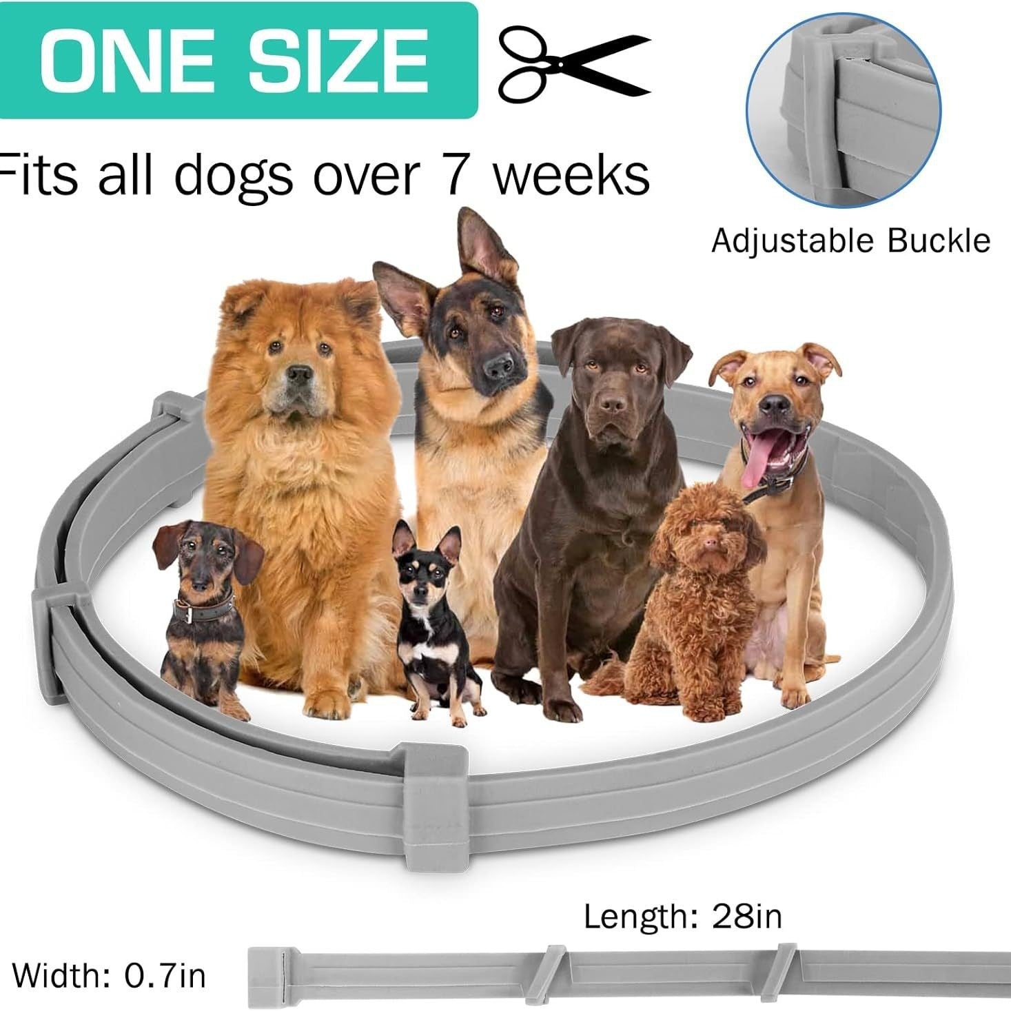 Collier anti-insectes pour chien chat