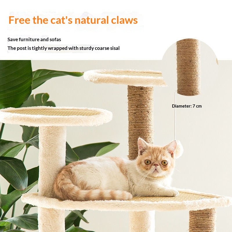 Lit de chat intégré et cadre d'escalade d'arbre de chat