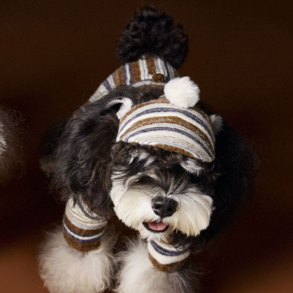 Accessoires pour animaux Chapeau de boule en fourrure rayée