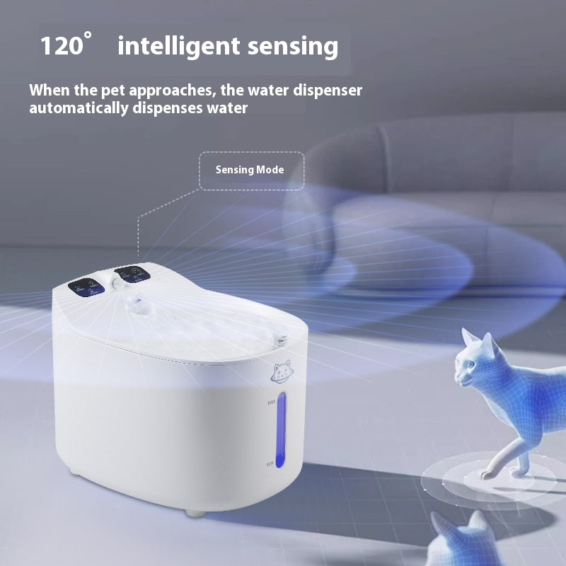 Distributeur d'eau amovible pour animaux de compagnie de grande capacité