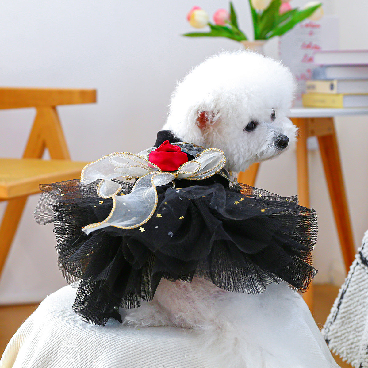Robe de rose de velours noir pour chiot petit chien