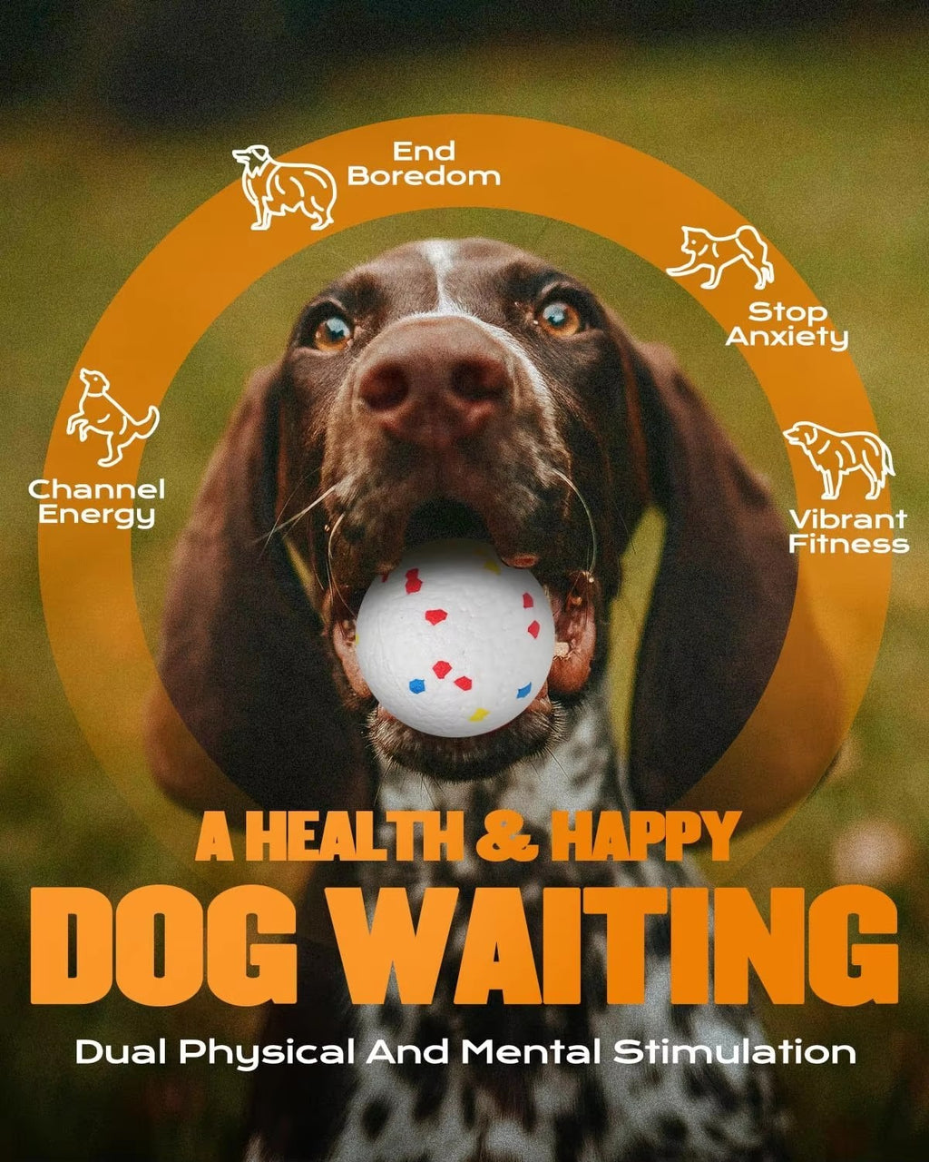 Lanceur automatique de balle de chien avec 3 boules Jeu interactif de lancer de balle de chien