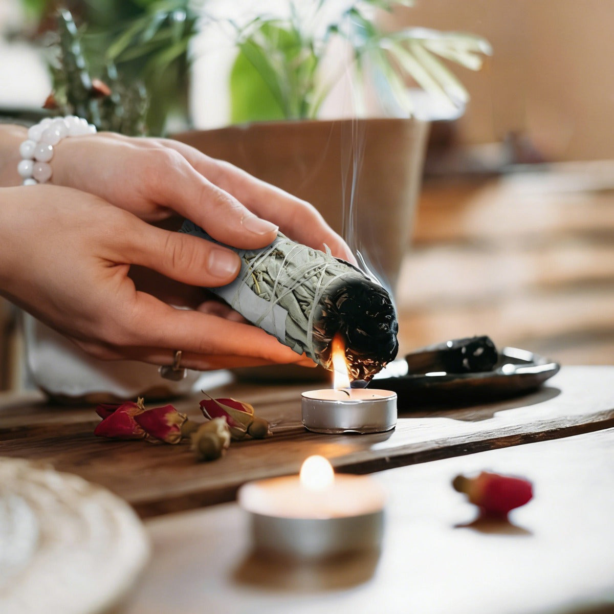 Décorations de fête et accessoires — Sticks encens de 6 paquets de Sage (Mugwort)