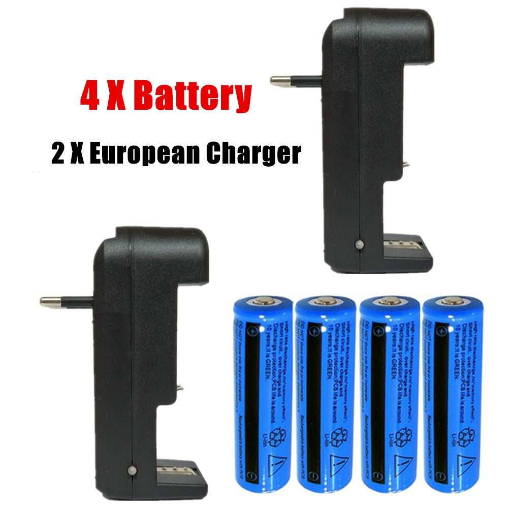 Chargeur de batterie avec batteries Li-ion 18650 3.7V 3000 mAh