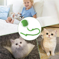 Jouet électrique de boule de chat de chien