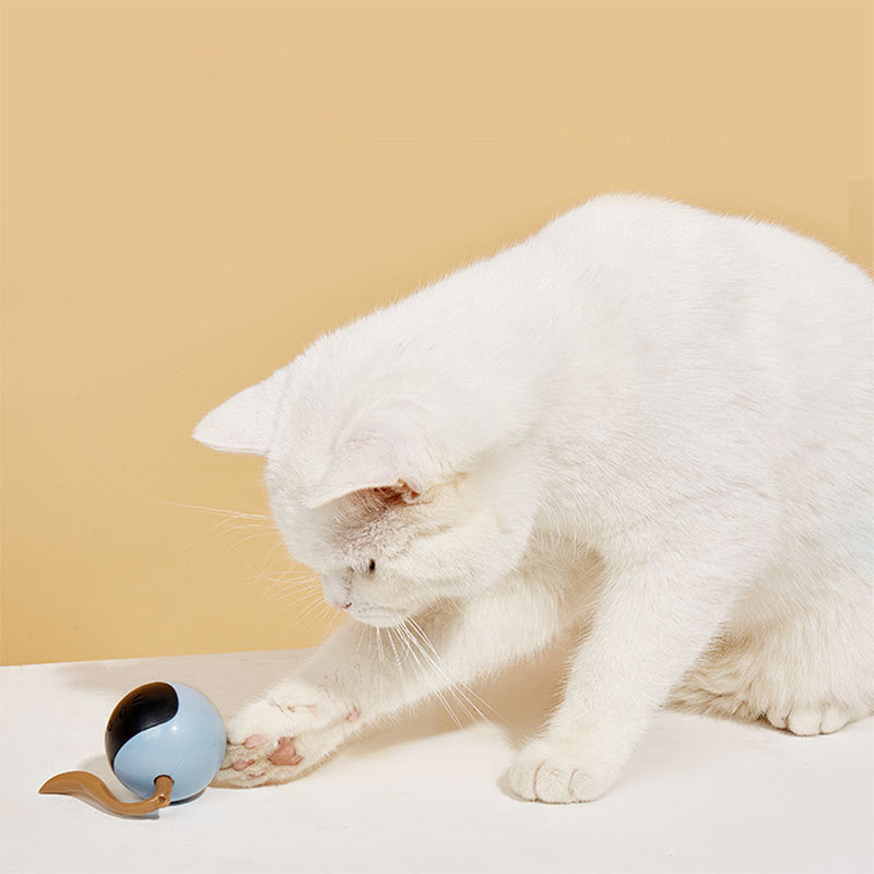 FOS Magic Ball Pet Électric Intelligent Cat Teaser