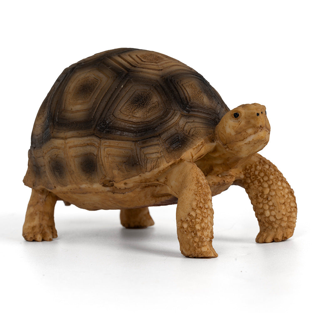 Figurine ornementale en résine pour tanks de tortue d'animaux
