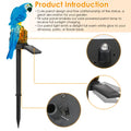 Solar Powered Parrot Garden Light IP65 Waterproof LED Parrot Landscape Lampe Loi décorative