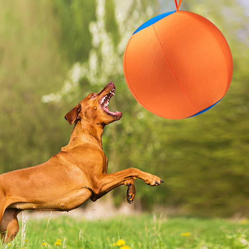 Jouet de boule de chien géant