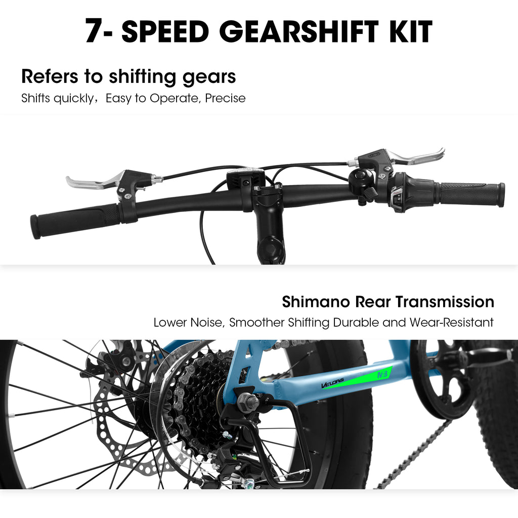 V202035 20 pouces Fat Tire Bike 7 Speed Mountain Bike