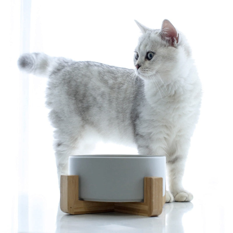 Solid Color Minimalist Accueil Utilisation Céramique Cat Food Feed Bowl