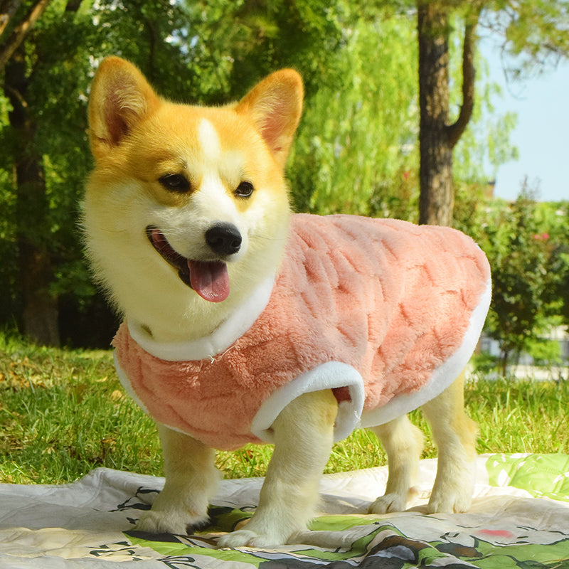 Vêtements de chien Automne et hiver Veste rembourrée anti-dorteuse de taille moyenne
