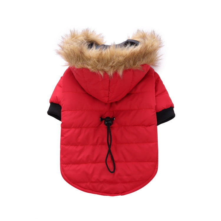 Vêtements d'hiver populaires pour animaux de compagnie