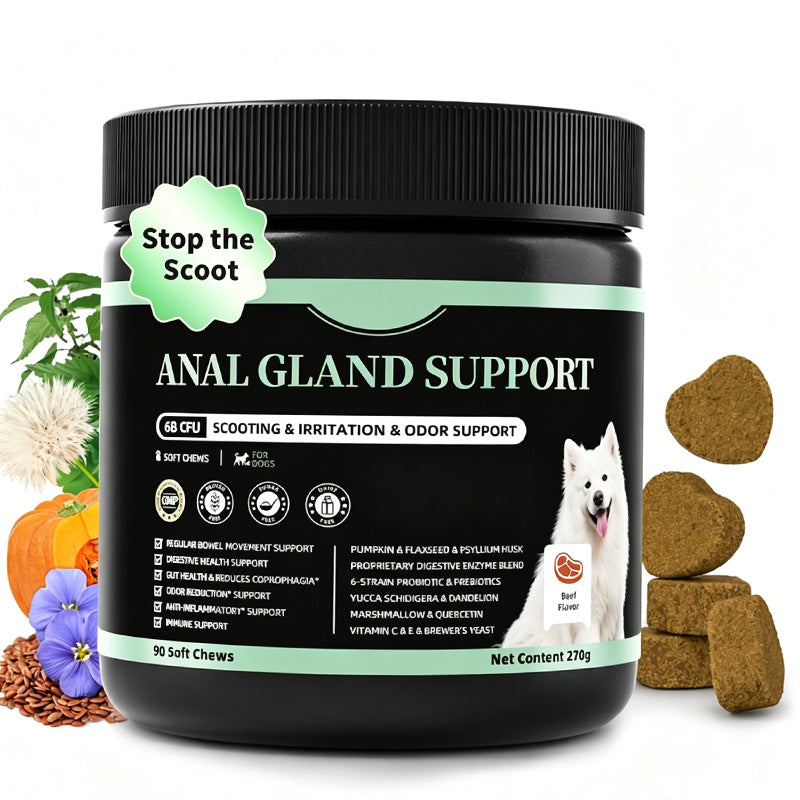 Probiotiques pour chiens Enzymes digestifs