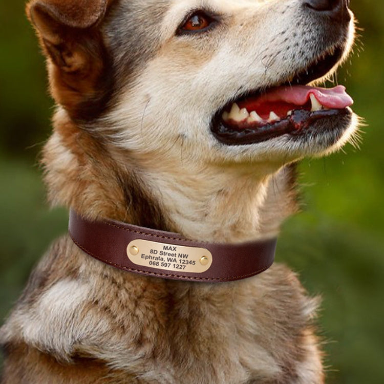 Collier de chien en cuir véritable de vache gravé anti perte