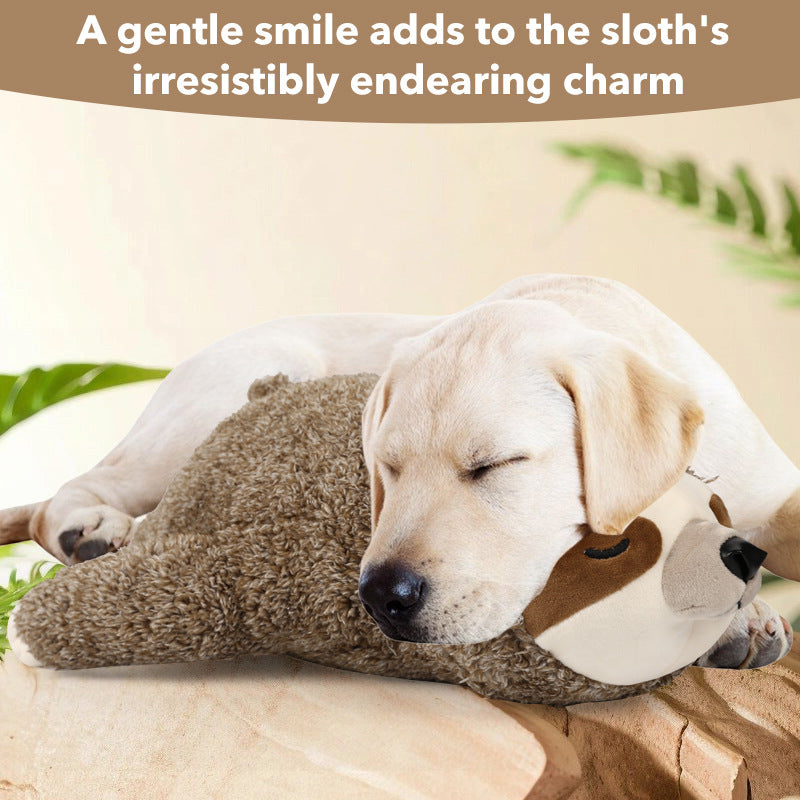 Jouet d'entraînement interactif en peluche apaisant pour animaux de compagnie avec dispositif de battement de coeur