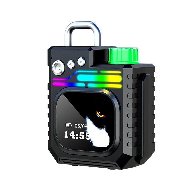 Outdoor Portable Subwoofer Multi-fonction Couleur Écran Horloge météo Cadeau Smart Speaker