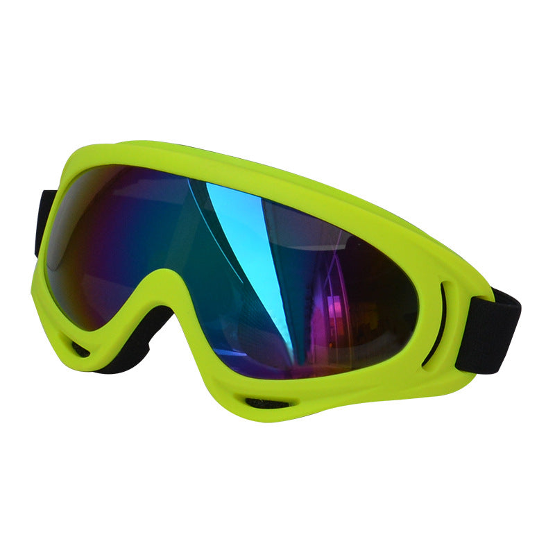 Lunettes de soleil extérieures pour chiens Décoration