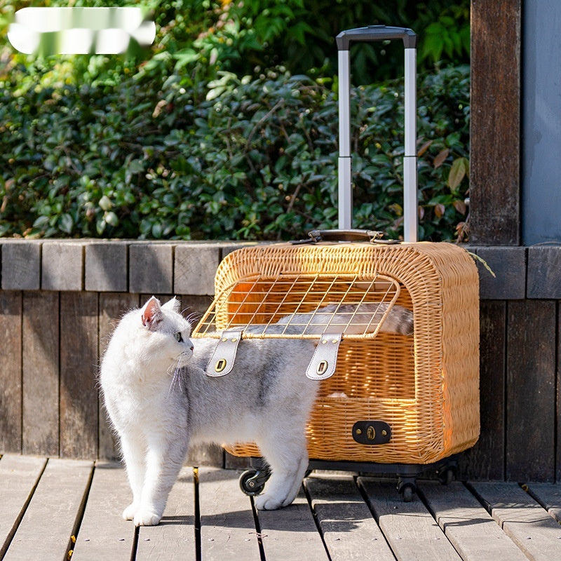 Portable porte-chat en rotin avec ventilation et poignée de traction pour les sorties
