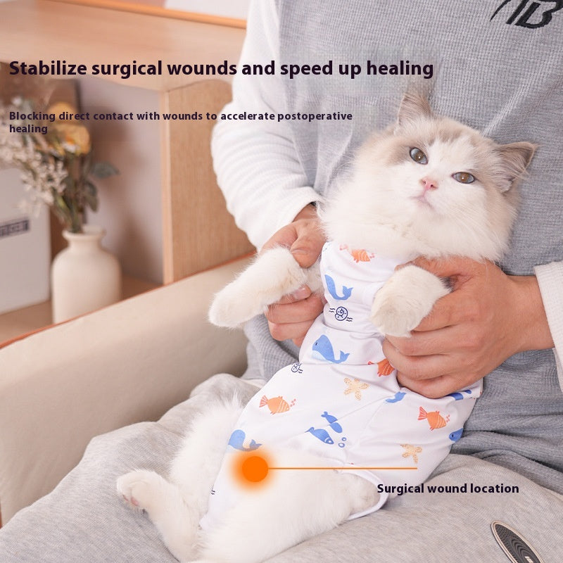 Stérilisation des chats Vêtements Série d'impression post-opération Quatre saisons