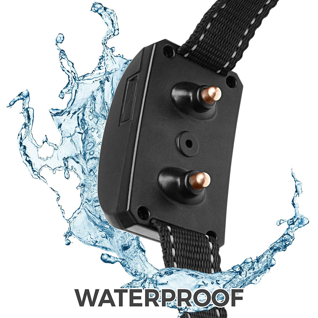 Appareil électronique d'entraînement pour chiens avec collier électrique de choc et écran