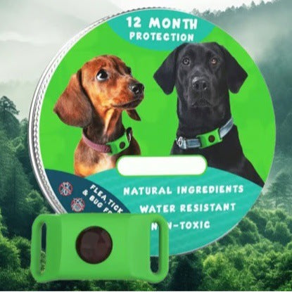 Flea Collar Pet Supplies pour éliminer les puces sur les chiens et les chats