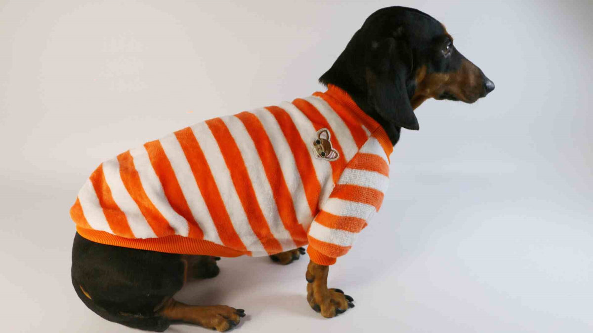 Maillots de chat de chien Sweatshirt casual