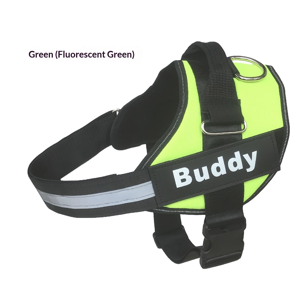 Harness Dog fournit des laisses et des paillettes