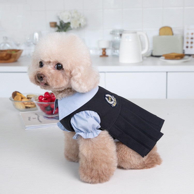 Habillement de chien chaud et mode