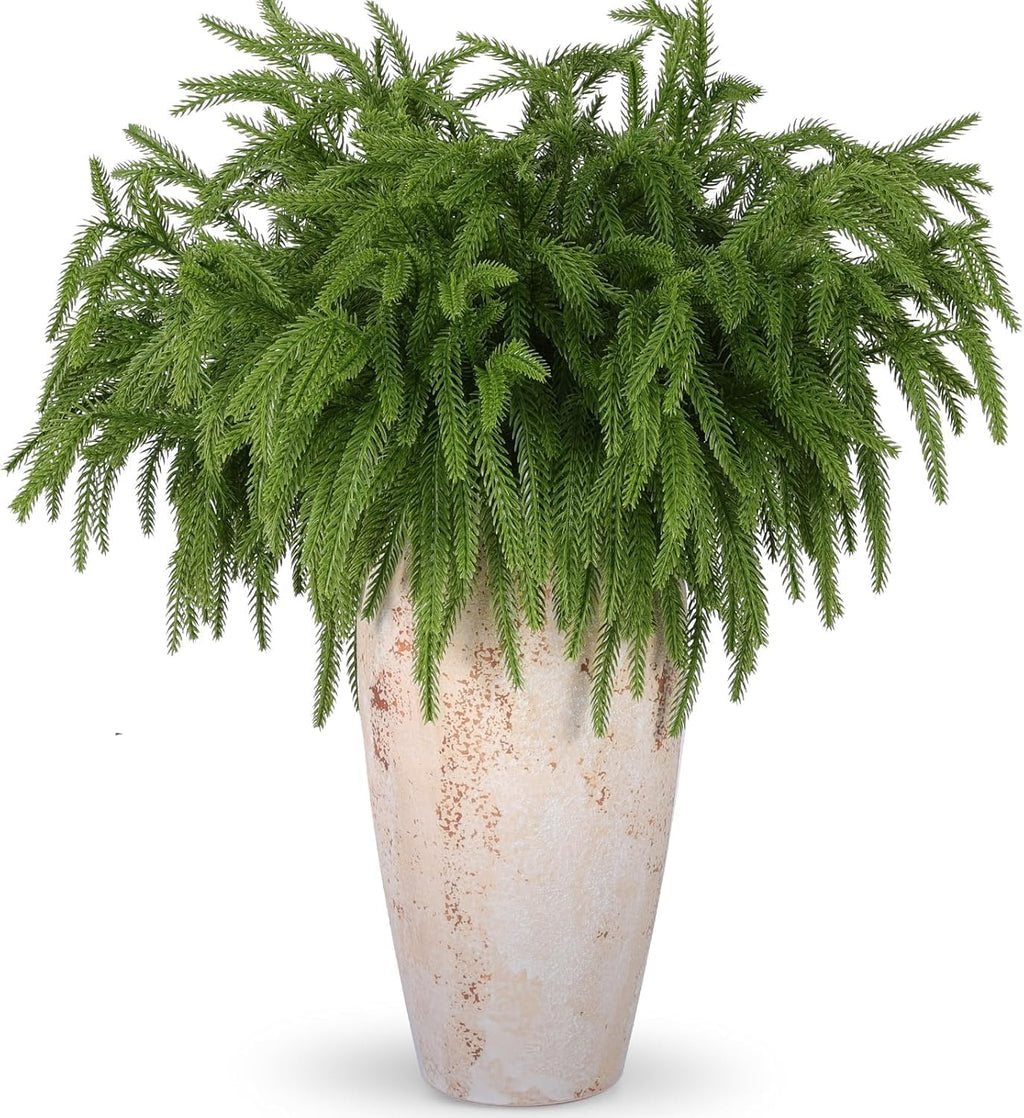 Noel Norfolk Pine Branches 4 PCS