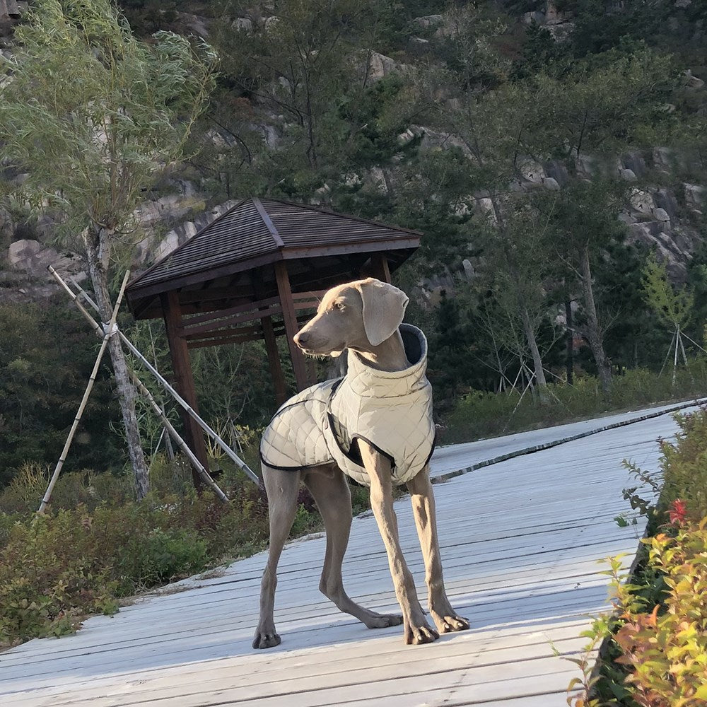 Vêtements pour animaux Veste tactique réfléchissante pour chiens