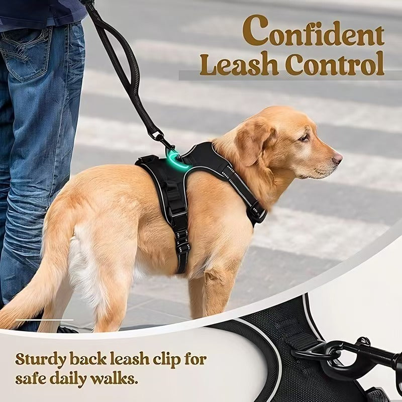 Harnais et jeu de laisses pour chien tout-en-un multicouches - Corde de marche en nylon durable pour Smal
