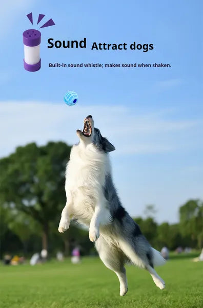 Balle sonore interactive pour animaux de compagnie