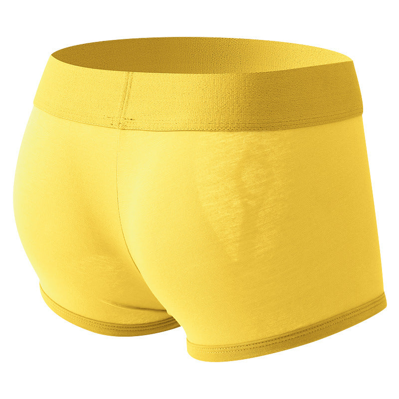 Convient aux hommes Boxer Slips coton