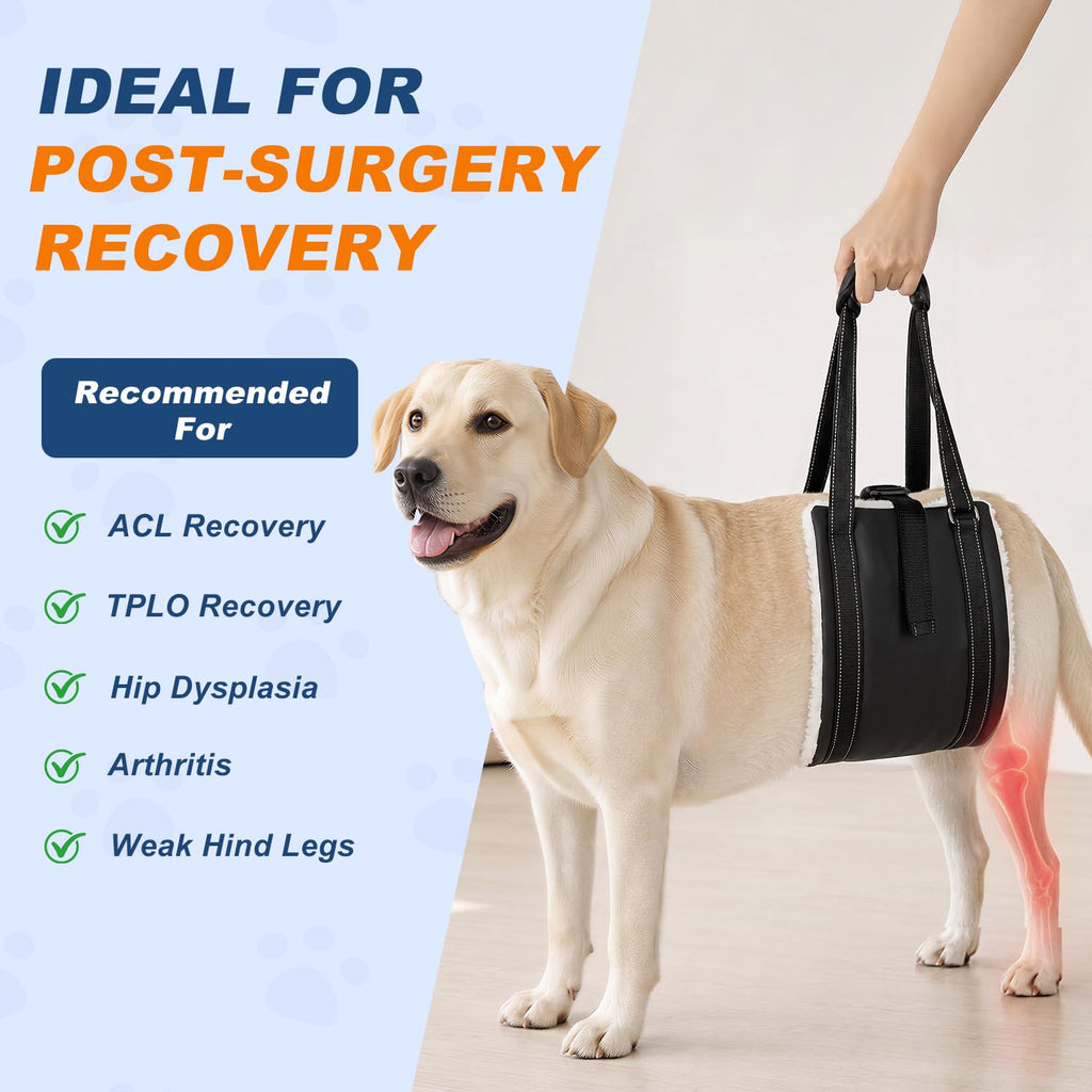Harnais pour chiens pour jambes arrière