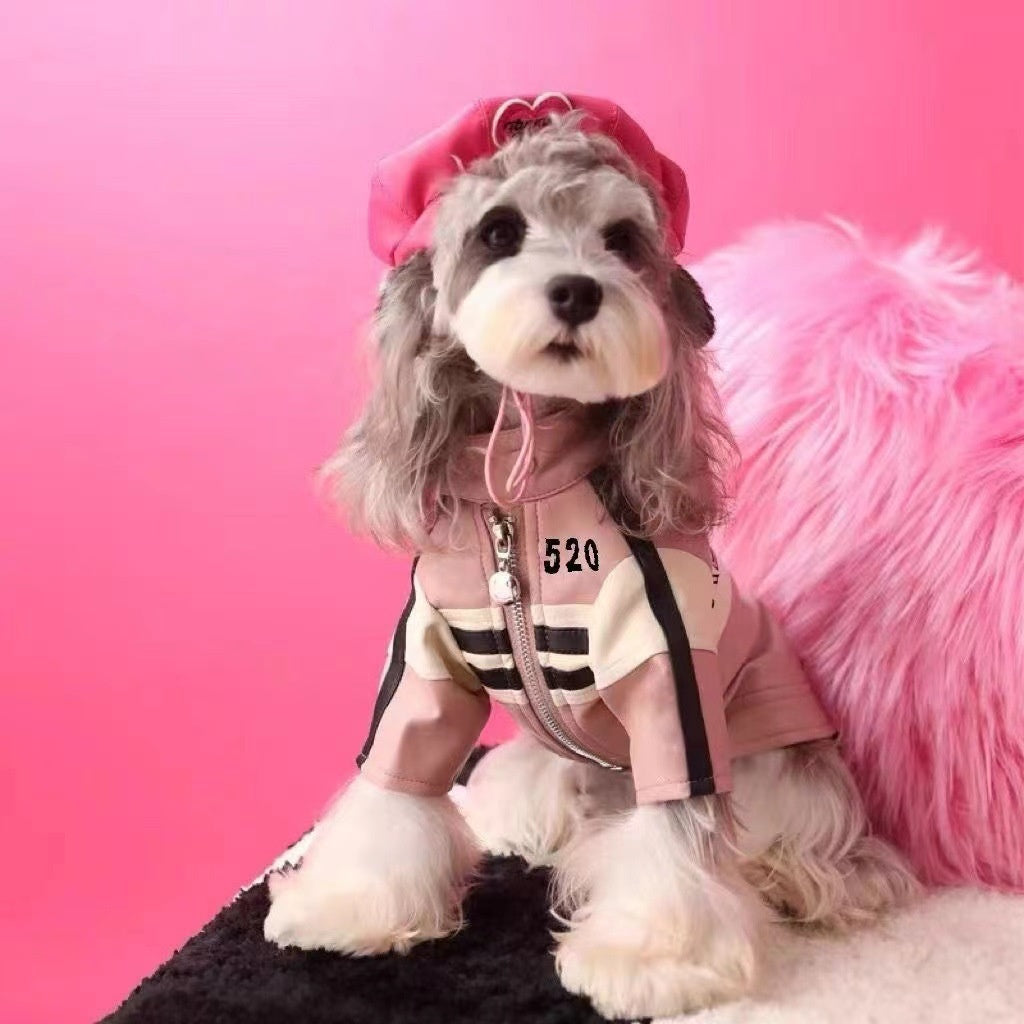 Dog Automnehiver Vêtements Veste de moto manteau