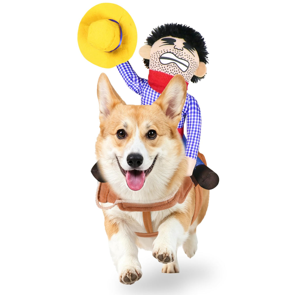 Costumes d'Halloween pour chiens