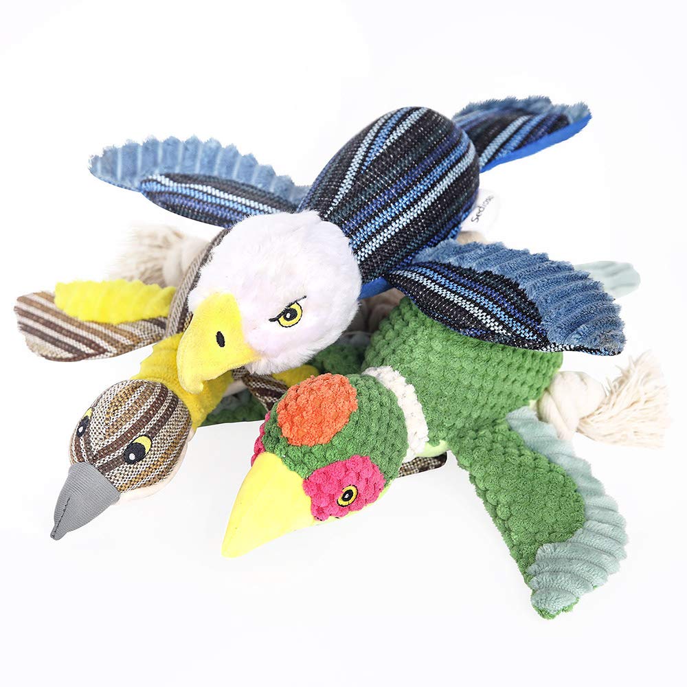 Ensemble de jouets pour chiens