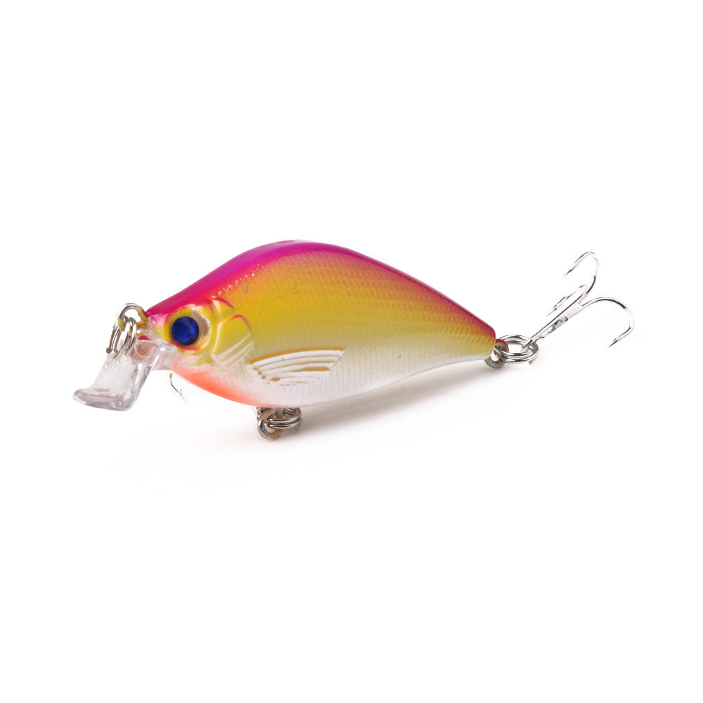 Simple pêche flottante eau Mino Rock Lure Lure