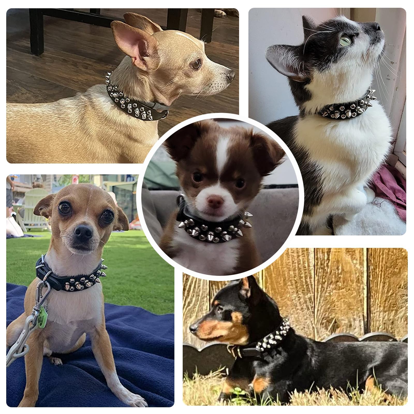 Petit collier de chat de chien noir Spiked pour petits chiens moyens Garçon Homme - pupp réglable