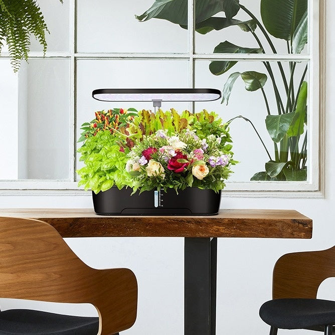 Lampe de croissance supplémentaire de la plante légère