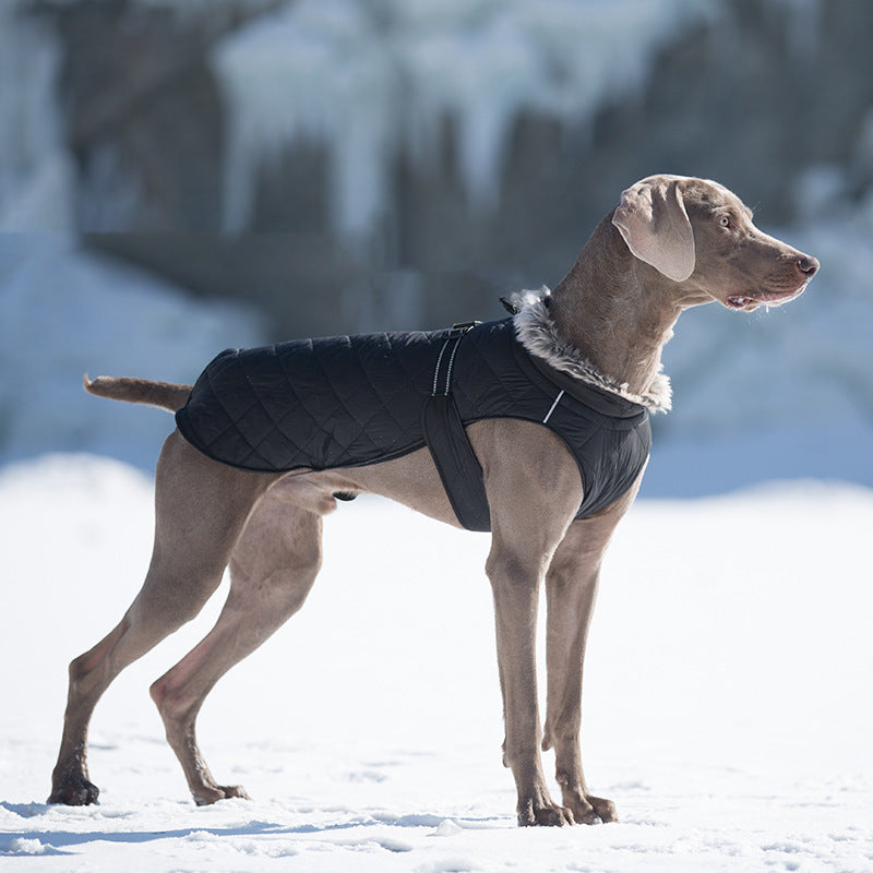 Vêtements pour animaux de compagnie Coton Coats Vente en gros