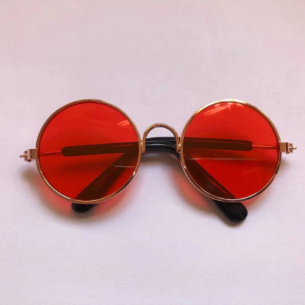 Lunettes de soleil pour chats